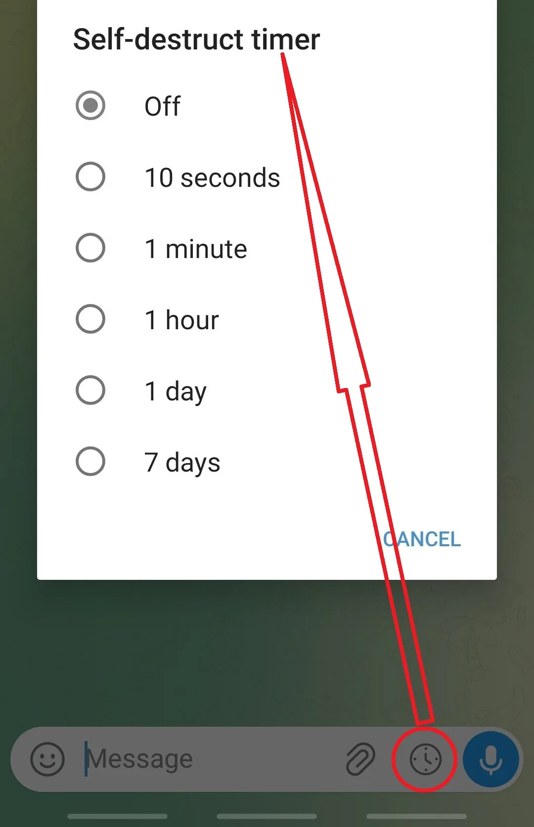 The self-destruct timer sheet on Android, listing Off, 10 seconds, 1 minute, 1 hour, 1 day and 7 days.